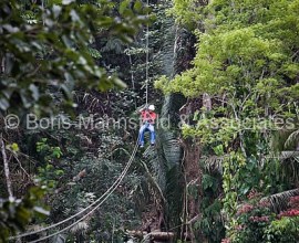 R148 - Turnkey Eco-Resort and Zip-line Course in Southern Belize