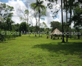 NF026 - Prime Land For Sale – Spanish Creek Estate in Rancho Dolores, Belize