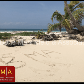 Belize Real Estate and Tourism Update