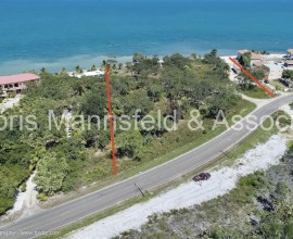 D254 - 4 Acres - Placencia Beachfront Development Property