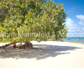 D234 - Incredible 7+Acre Beach to Lagoon Placencia Property