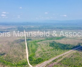 F013 - Large Tract of Land with Endless Development Possibilities