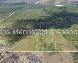 F021 - 155 Acres Farmland in Mango Creek, Stann Creek District - Owner Financing Available