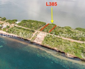 L385 - Ocean View Lot in Plantation