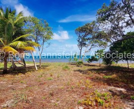 L420 - Exceptional Beach Lot For Sale in Maya Beach, Placencia