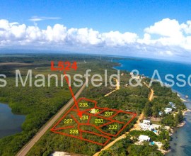L524 -Road Front Commercial-Residential Lot in Caribbean Way