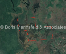F024 - Over 1,000 acres Estate Property Near Hattieville, Belize District